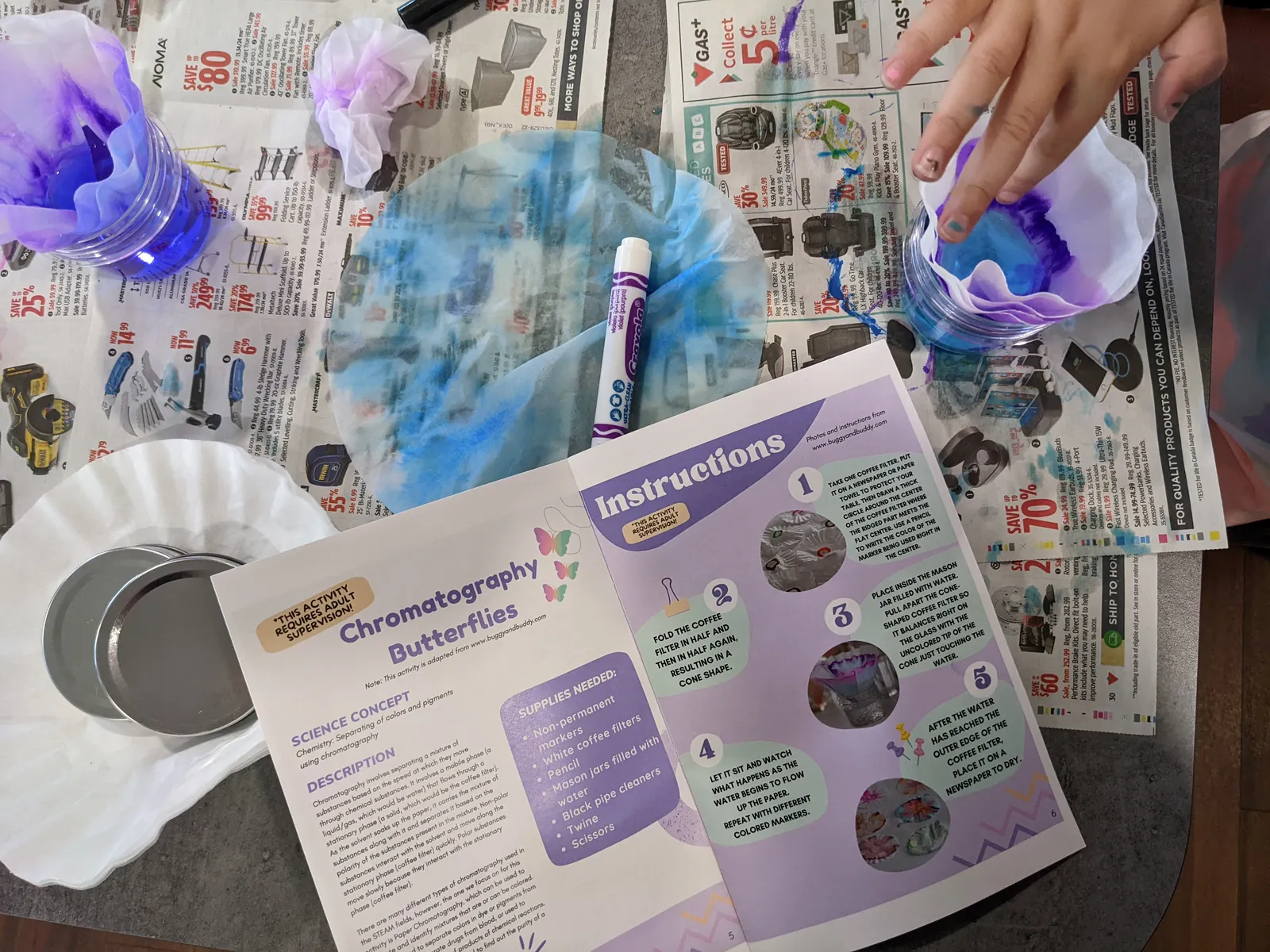 Dineli Fernando — STEAMistic: Accessible STEAM Education for Youth in Edmonton