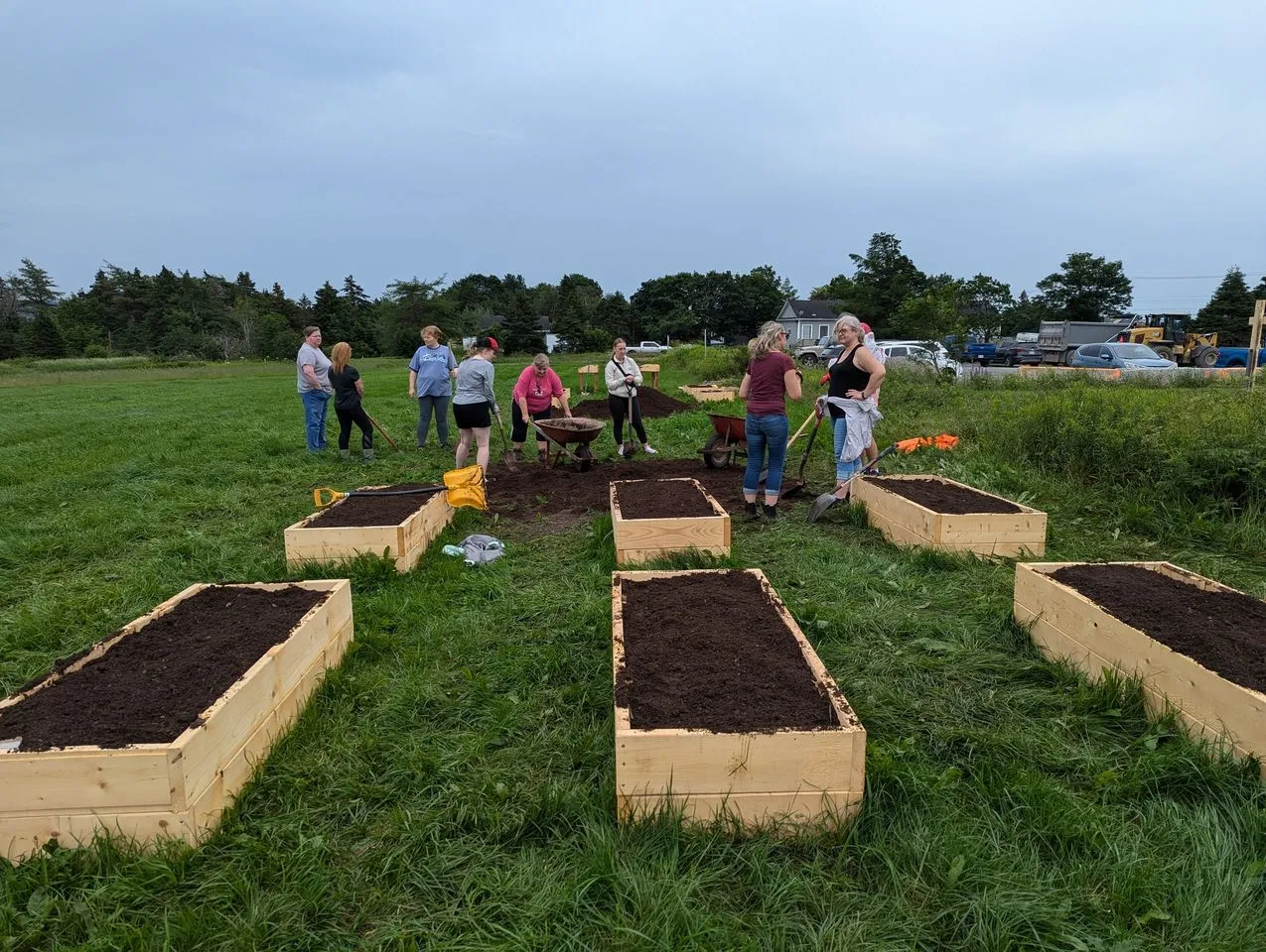 Amy Williams — Sowing Seeds - Growing Community