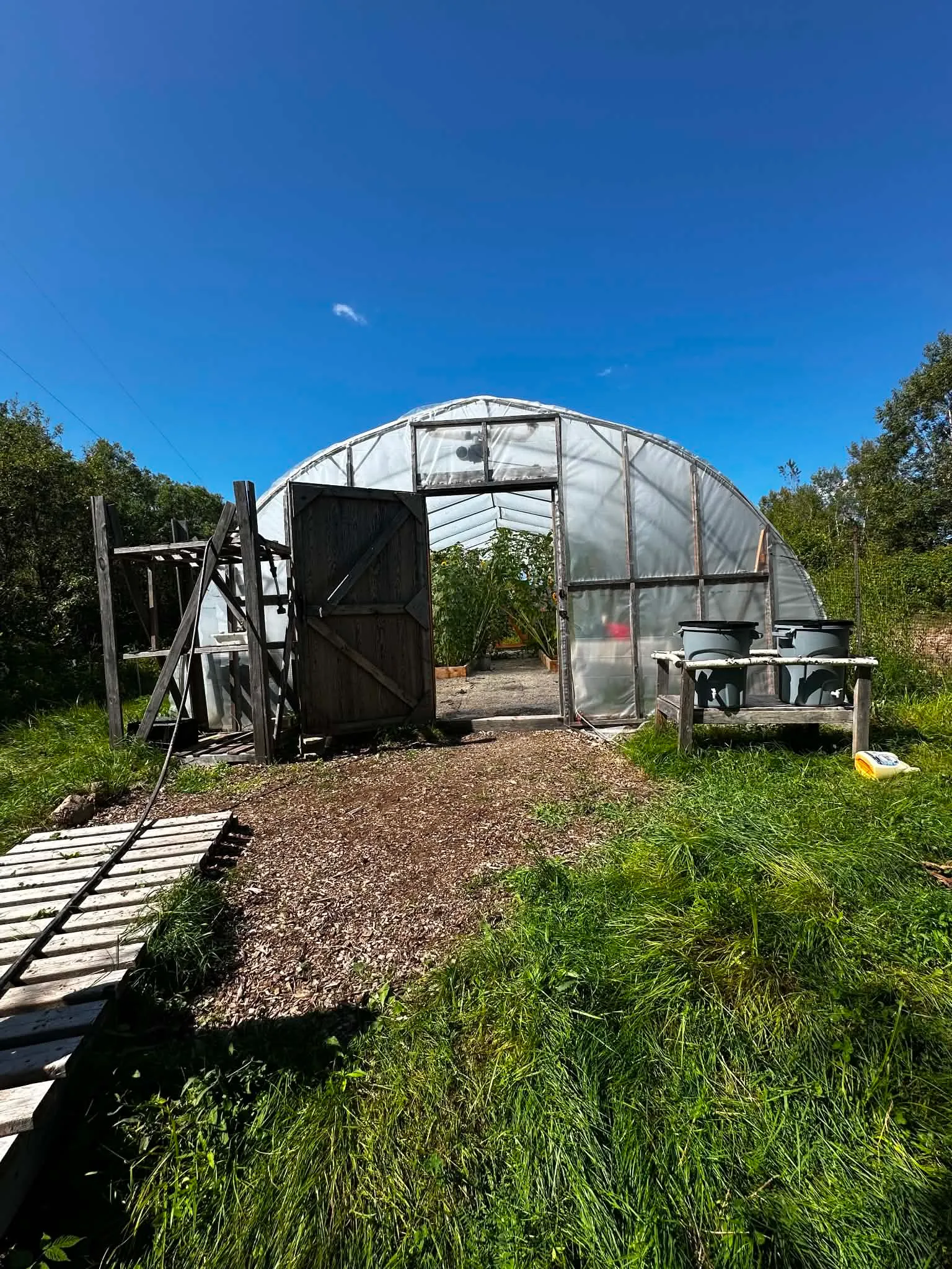 Kassandra Jones  — OELF Community Greenhouse Project