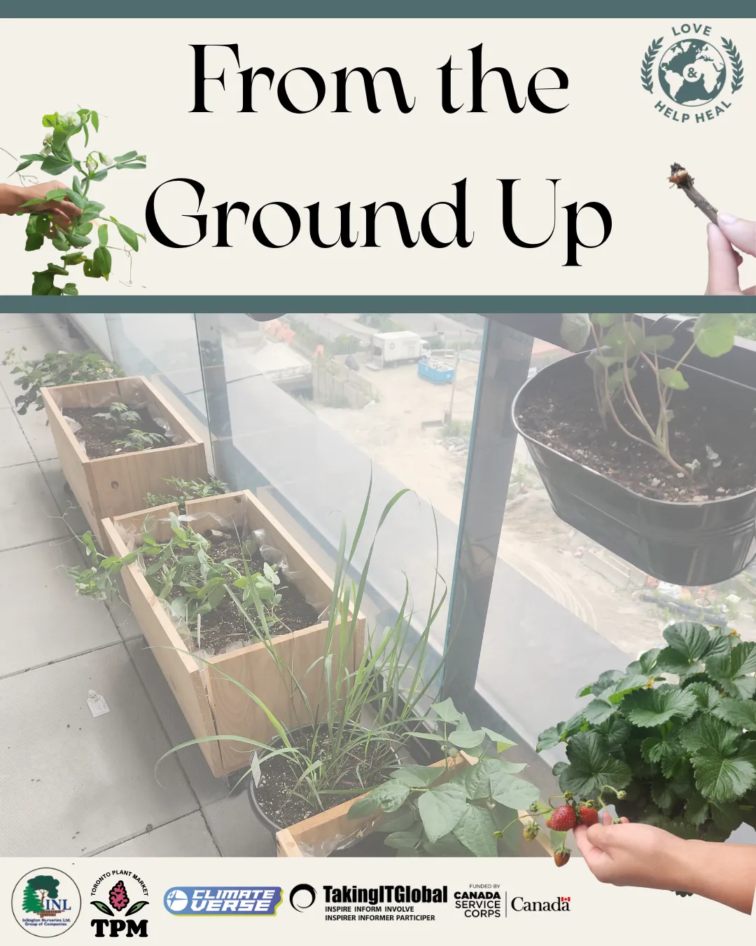 Tayyaba Shahzad  — From the Ground Up